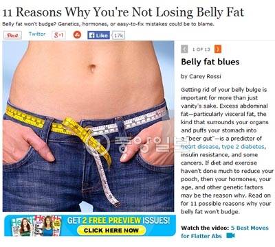 뱃살이 빠지지 않은 이유 11 [사진 헬스닷컴 홈피 캡처]