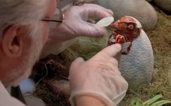 지금까지 발견된 공룡 알 가운데 가장 큰 것은 몽고에서 발견된 것으로서 길이가 60cm에 달했다. 사진은 영화 쥬라기 공원에 등장하는 공룡알 부화모습. 사진=유니버설 픽처스