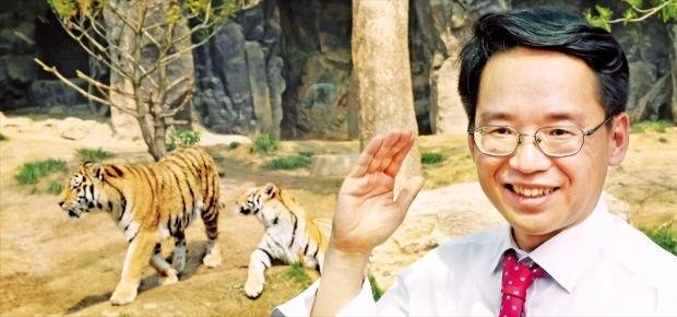 경기 과천시 서울대공원의 호랑이 우리 앞에 선 조장혁 법무법인 율촌 변호사. 그는 “남한 생태계는 맹수의 멸종으로 이상현상이 나타나고 있다”며 “한반도에 맹수를 복원하는 게 해법”이라고 말했다. 정동헌 기자 dhchung@hankyung.com