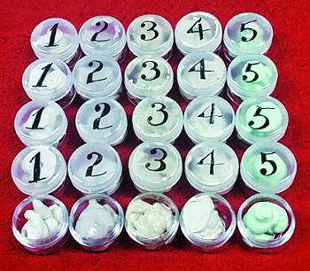 평가자들에게 보낸 샘플들.