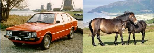 현대자동차 포니I(좌)과 엑스무어 포니(우). 9종으로 분류된 포니의 종(種) 가운데 하나로 영국 최고(最古) 포니 종. 잉글랜드 남서부의 황야에 서식하며 강인한 체질로 혹독한 겨울을 견디는 게 특징이다. 초기 더러브레드종이 생겨나는데 공헌했다.