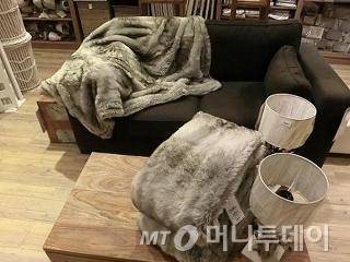 인성하이텍, 독일 하임 텍스타일 전시회 성료