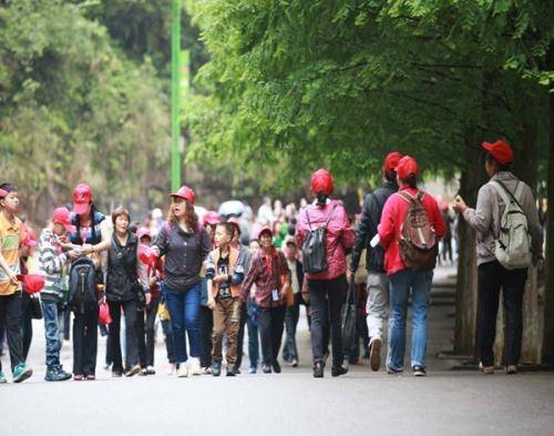 중국 단체 관광객