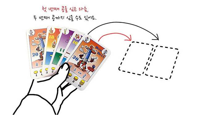 콩을 심는 단계