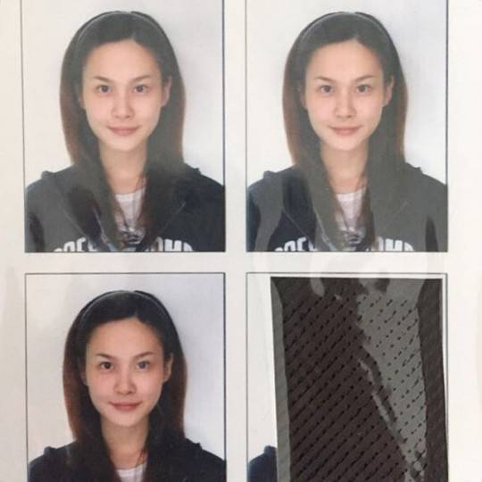아이비
