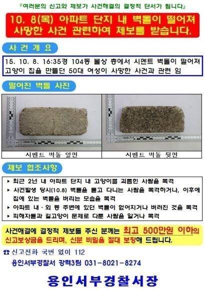 용인 캣맘