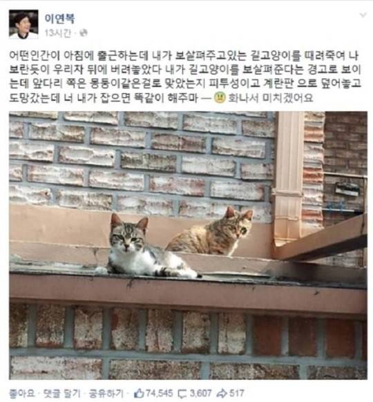 도넘은 캣맘 혐오증