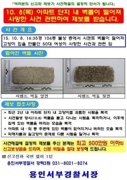 도넘은 캣맘 혐오증, 우려하는 목소리도 높아지고 있어…이유 들어보니 ‘어머나’