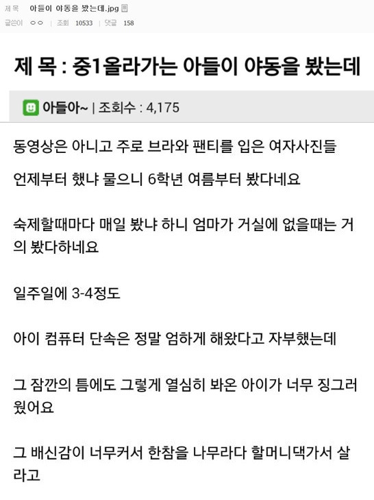 조선 탈레반' 맘충 