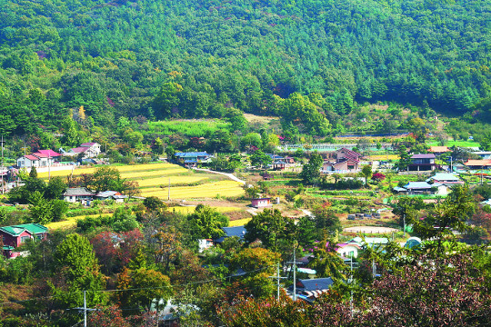 대전 유성구 세동 우리밀마을은 계룡산 동남쪽 기슭에 위치해 대전시의 ‘보석’으로 불리는  친환경 농촌마을이다. 인근 야산에서 바라본 우리밀마을 전경.