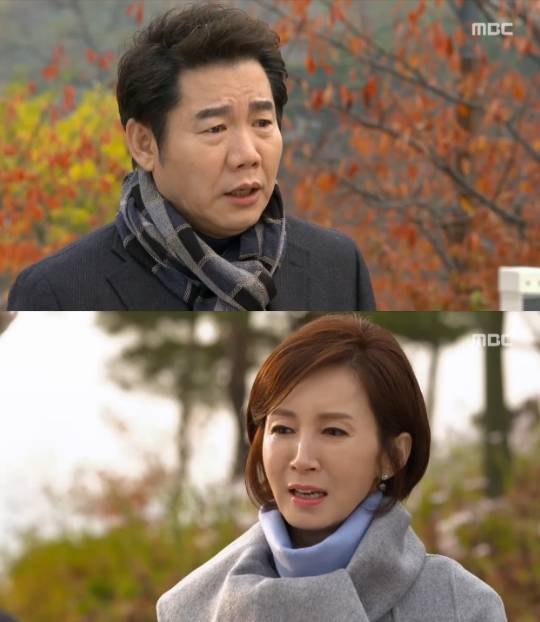 내 딸 금사월, 박상원 전인화
