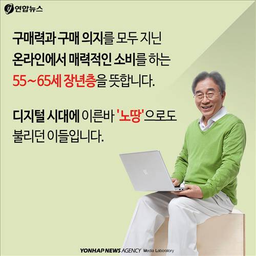 구매력과 구매 의지를 모두 지닌, 온라인에서 매력적인 소비를 하는  55∼65세 장년층을 뜻합니다.  디지털 시대에 이른바 '노땅'으로도 불리던 이들입니다.
