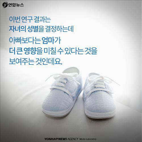 이번 연구 결과는  자녀의 성별을 결정하는데  아빠보다는 엄마가 더 큰 영향을 미칠 수 있다는 것을  보여주는 것인데요.