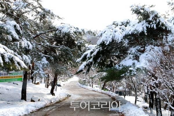 용현 휴양림 입구 설경