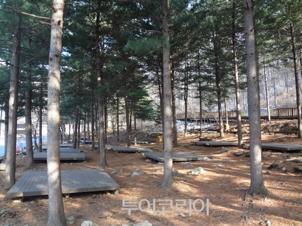 유명산 야영장 전경