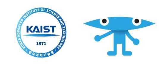 카이스트