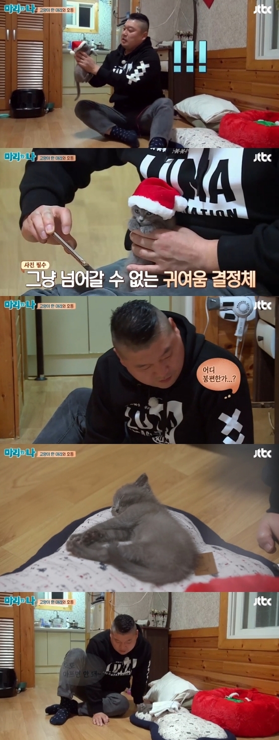 강호동이 '마리와 나'에서 아기 고양이 토토의 펫시터로 나섰다. © News1star/ JTBC '마리와 나' 캡처
