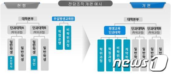 평생교육 단과대학 운영 모델 예시. (자료: 교육부) © News1