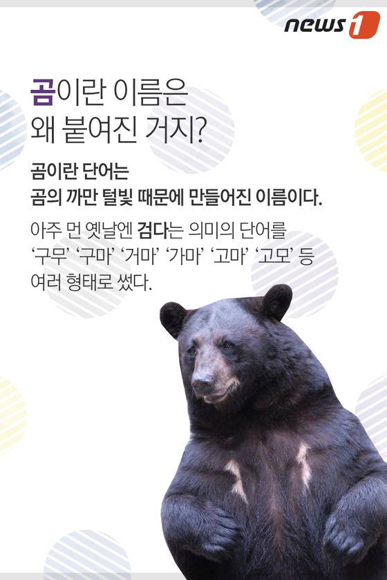 © News1