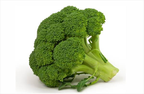 [사진출처=123RF]