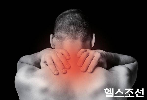 [헬스조선]마테·감태 '통증 완화에 도움' 밝혀졌다