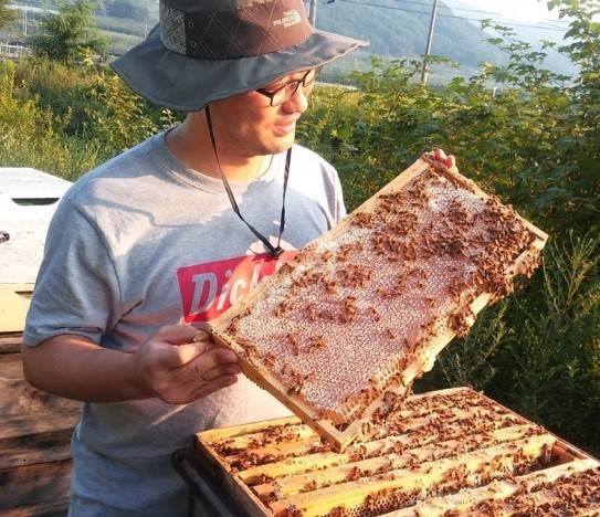 46년 양봉 가업을 이으며 벌집꿀의 대중화에 앞장서고 있는 벌꿀오박사