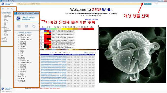 해양 적조 원인종 발현유전체 정보은행.