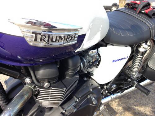 반짝반짝 빛나는 트라이엄프 로고