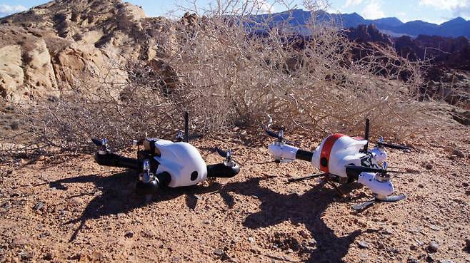 드로젠 로빗 300GT(왼쪽)와 로빗 320R