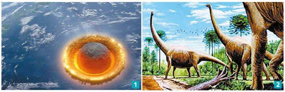 1 6500만 년 전 소행성의 충돌로 추정되는 사건이 공룡을 멸종시켰다는 추론이 가장 널리 인정받고 있다. 2 초식 공룡인 브라키오사우루스의 상상도.