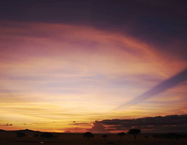 세렝게티의 석양