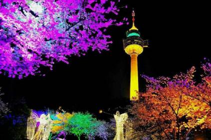 ‘이월드 별빛벚꽃축제’가 열리는 대구 83타워 일대.                                       <사진제공〓이월드>