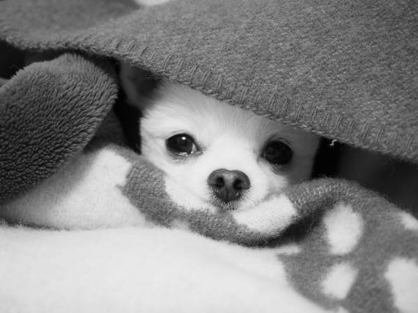 올림푸스 'PEN-F' 촬영 결과물