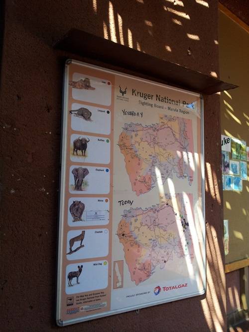 출몰 지도는 동물의 이동경로 파악에 유용하다.