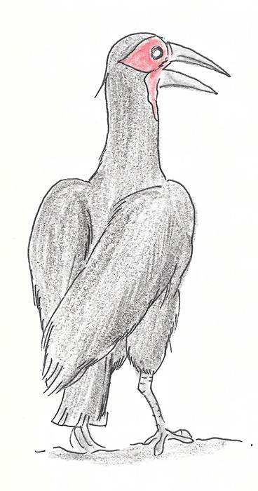 싸인을 원하나?