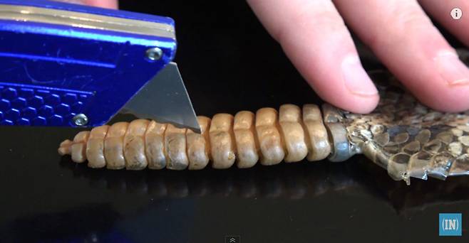 What‘s Inside?, 유튜브 영상 캡처 What‘s Inside?, 유튜브 영상 캡처