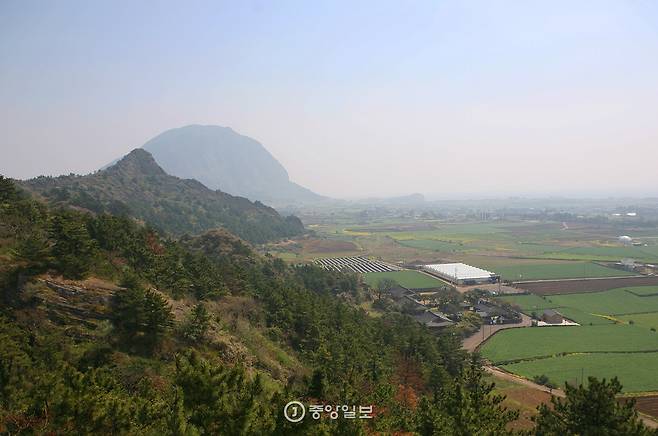 바굼지오름 왼쪽 봉우리에서 바라본 오른쪽 봉우리. 오름 아래에 대정향교가, 봉우리 너머로 산방산이 보인다.