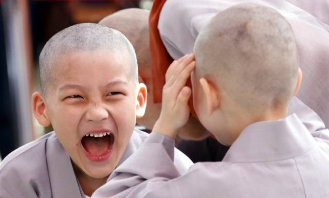 석가탄신일(5월14일)을 앞두고 2일 오전 서울 종로구 견지동 조계사 대웅전 앞마당에서 열린 동자승 단기출가 보리수 새싹학교 삭발·수계식에서 아이들이 삭발을 마친 뒤 서로 쳐다보며 활짝 웃고 있다.  김봉규 선임기자 bong9@hani.co.kr