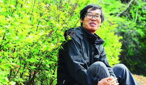 김판수씨는 지난달 28일 자신의 정향나무 농장에서 “정향나무 등 토종 라일락을 기를 때 싹을 틔우고 나서 3∼4년간은 주변의 잡초도 뽑고 관리를 해 주지만 그 후에는 다른 식물들과 경쟁하면서 크도록 내버려둔다”고 말했다. 해발고도가 낮은 김씨 농장에서는 보통 4월 중순부터 5월 초까지 수수꽃다리, 4월 하순∼5월 초순 섬개회나무, 5월 초∼중순 정향나무, 5월 하순∼6월 초순 꽃개회나무, 5월 말∼6월 중순까지 개회나무가 20일 정도씩 릴레이로 개화한다. 단양=구성찬 기자