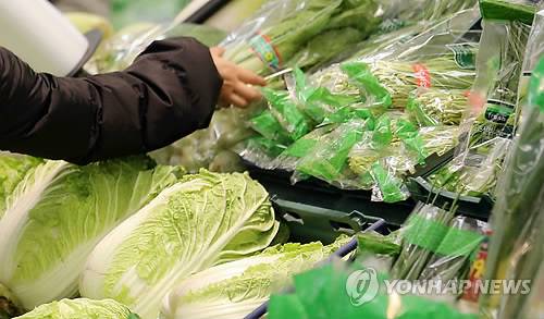 [연합뉴스 자료사진]