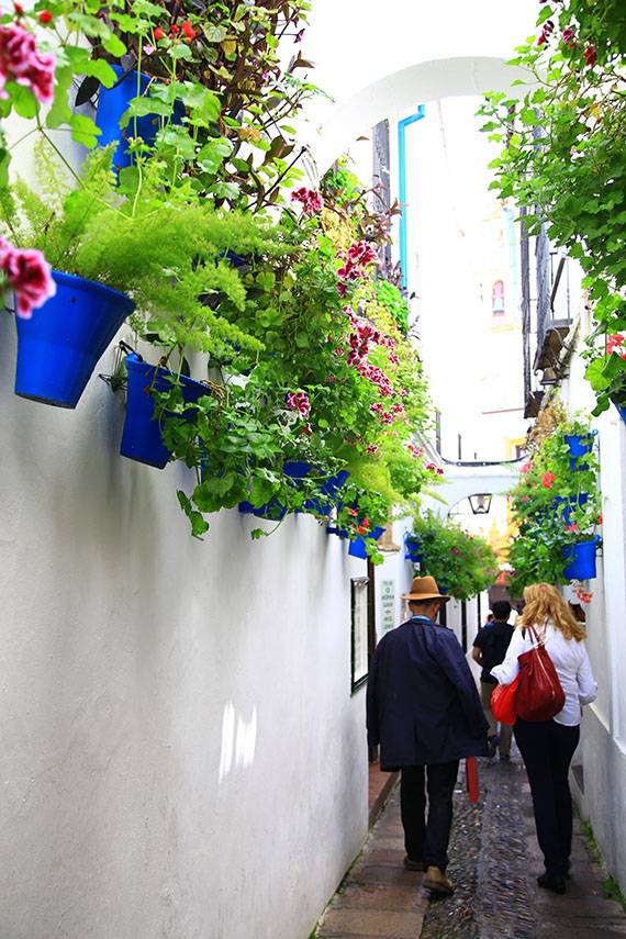 꽃으로 장식된 코르도마 구시가지 골목.