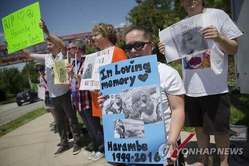 하람베를 추모하는 시위 [AP=연합뉴스]