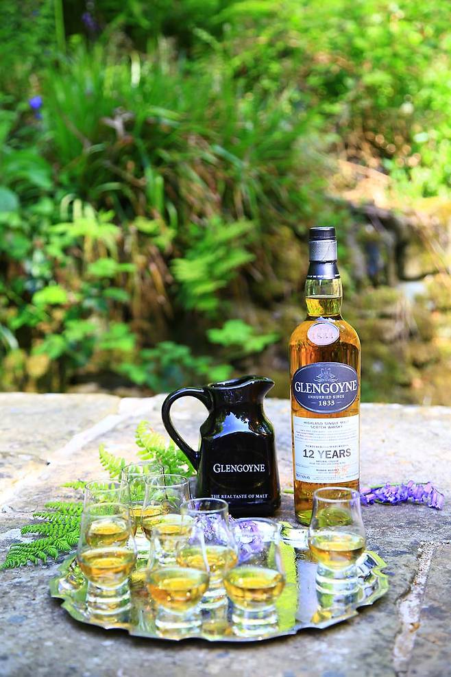 폭포 옆에서 마신 글렌고인 12년 한 잔.