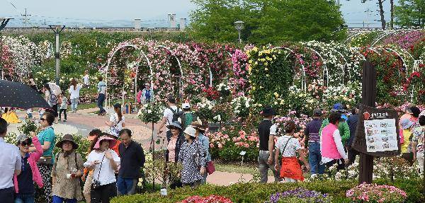 [헬스조선]여행에 나설 때는 샌들보다는 운동화를 신어야 한다. 그래야 무릎과 발목에 무리가 덜 생긴다/사진-조선일보 DB