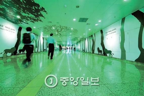 을지로3가와 4가 사이 지하상가의 정글 테마존. [사진 권혁재 사진전문기자]