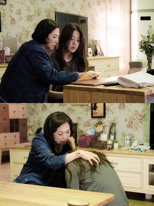 디어 마이 프렌즈 고두심 고현정