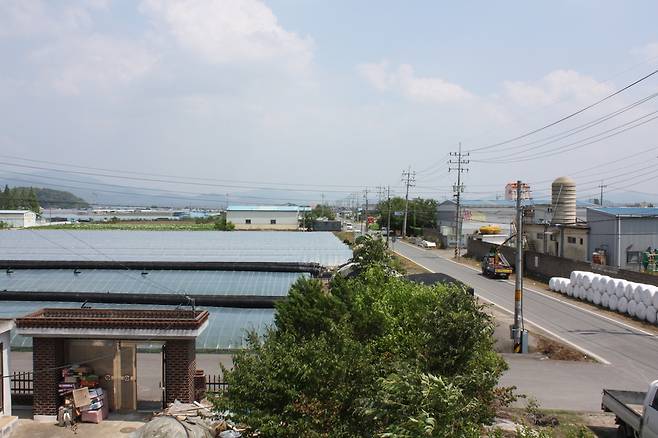 19일 경남 밀양 하남읍 도로를 따라 집과 딸기를 짓는 비닐하우스 등이 들어서 있다. 밀양/김일우 기자