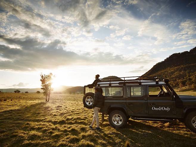 와일드 라이프 사파리