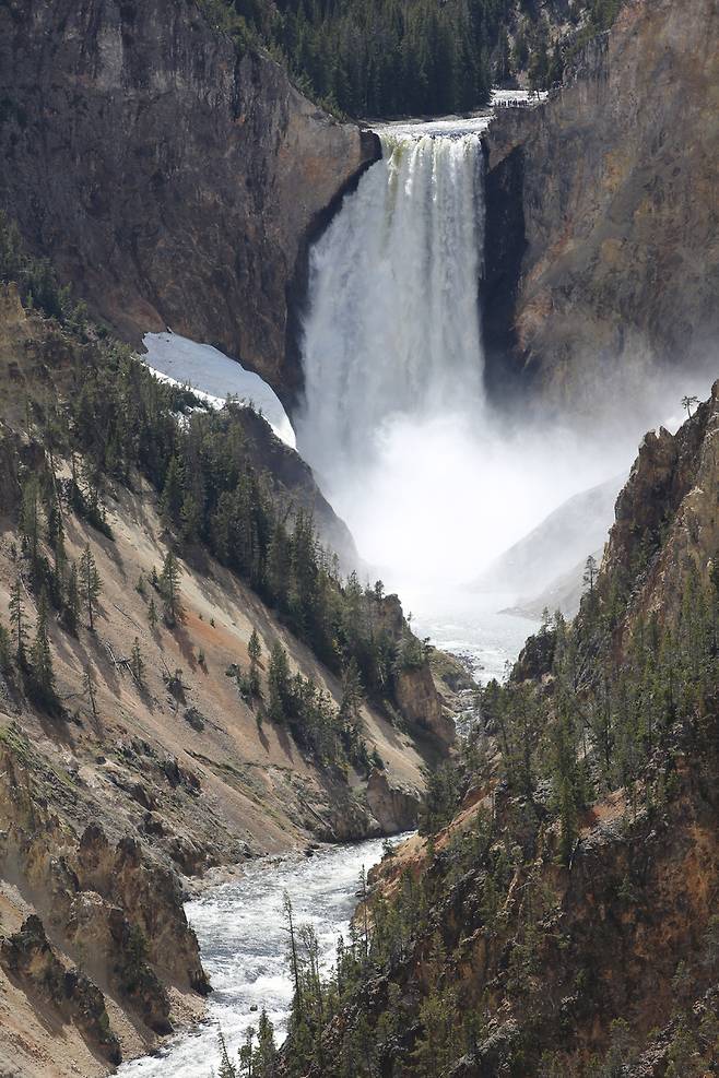 옐로스톤 강 협곡의 로워 폭포.