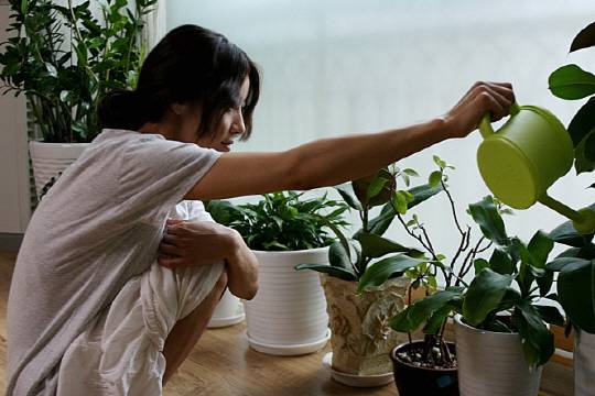 영혜는 식물이 되고 싶다는 생각으로 점점 깊이 빠져든다. /출처=네이버영화